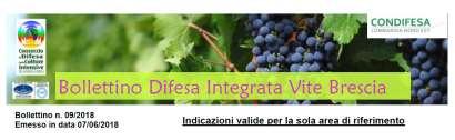 VI / Terre d Oltrepò - Casteggio CO.DI.MA.