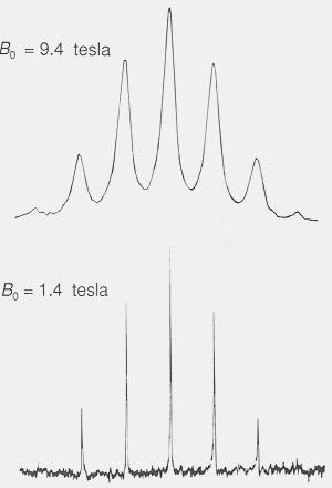 A campi alti le righe si allargano!! Me TlNO 3 05 Tl NMR J(Tl-H) = 409 Hz settupletto (:6:5:0:5:6:) Meccanismi di rilassamento Dipolo-dipolo nucleare e/o elettronico (d.d.) Anisotropia del tensore di schermo (c.