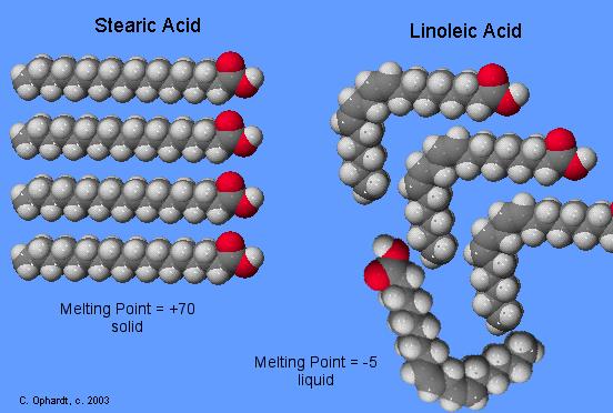 Gli acidi grassi insaturi hanno T di fusione << dei saturi a causa