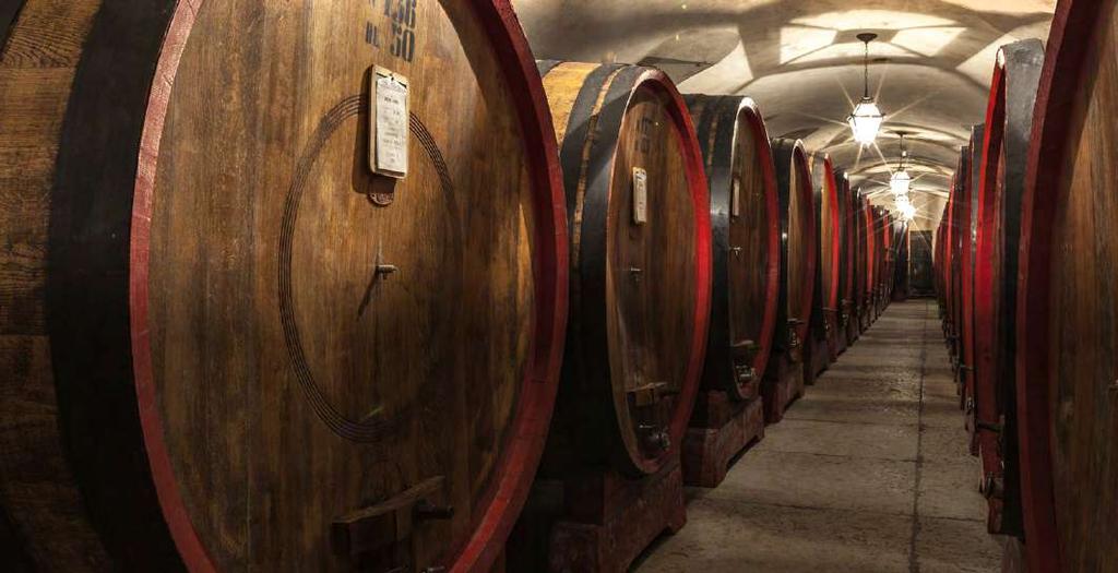 2 Il Veneto è una delle tre regioni vitivinicole con maggiore capacità produttiva e