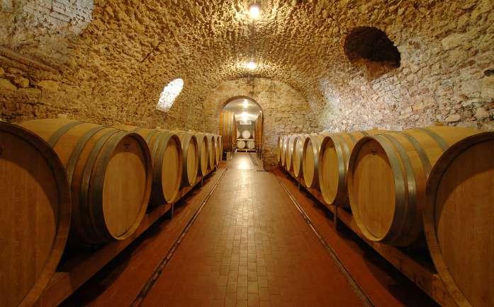 Possono essere introdotti anche vitigni a bacca rossa non aromatici, autorizzati e raccomandati per la provincia di Verona. La Corvina arricchisce eleganza, freschezza e speziatura.