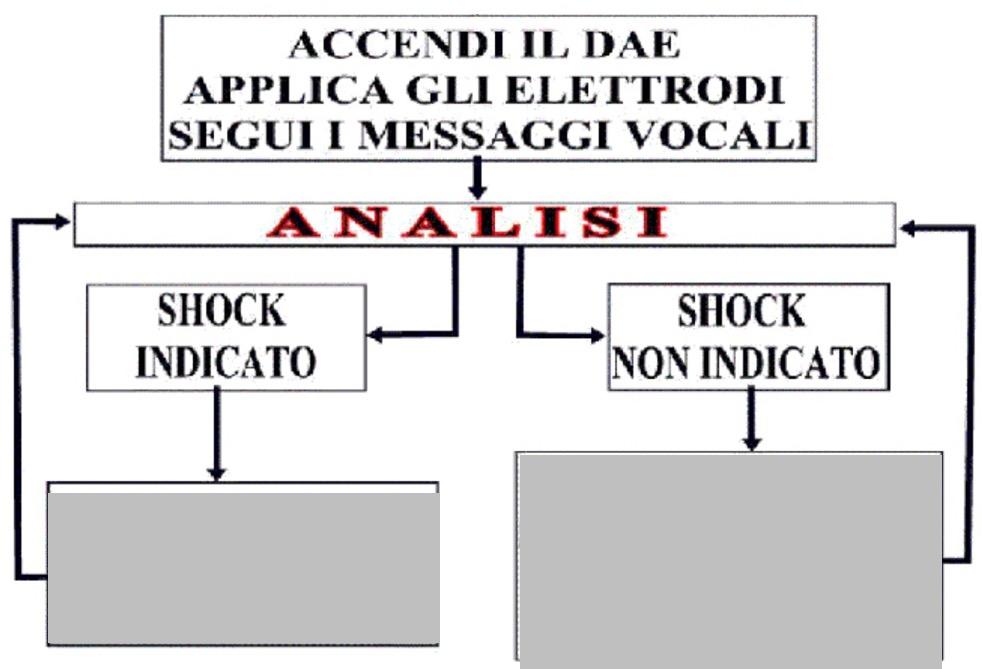 DAE = DEFIBRILLATORE AUTOMATICO ESTERNO l'algoritmo DOPO OGNI SHOCK, CICLI di RCP CICLI di RCP RCP = RIANIMAZIONE CARDIO POLMONARE RCP = MCE(30) + VA(2)