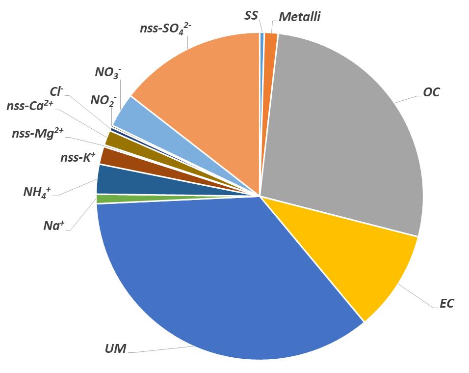 Composizione Chimica Media dei Campioni di PM10 e PM2.5 10% 14% 8% 26% 3% 27% 2% 3% 9% 10% PM10 37% 35% PM2.
