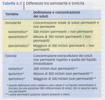 Differenze tra