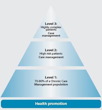 Il Triangolo di stratificazione del rischio (Kaiser Permanente Triangle) Disease Management Kaiser Permanente ha integrato il modello di Wagner con una