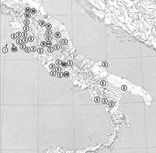 costituita da sottili lamine convergenti (esclusa una basale) verso un apice in posizione dorsale, che definiremmo a tenda da campeggio (figg. 2, 6).