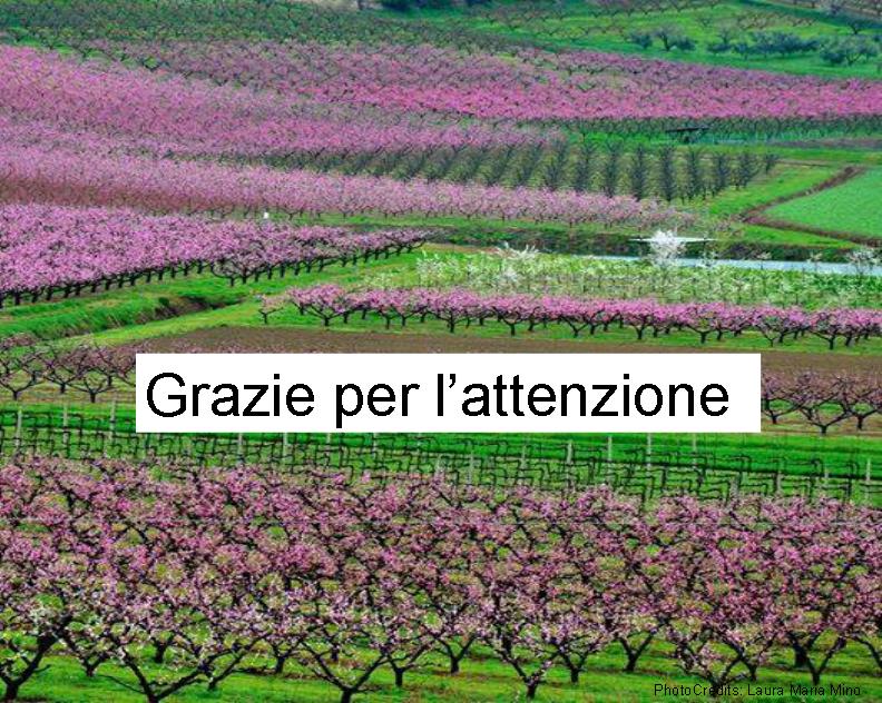 Principali scadenze per gli utilizzatori } } } } } Dal 2014: difesa integrata obbligatoria Dal 26/11/2014: nuovo sistema di formazione Dal 26/11/2015: patentino per tutti i prodotti ad uso