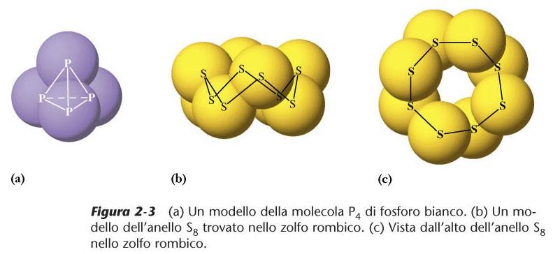 elementari La massa di una molecola è la somma