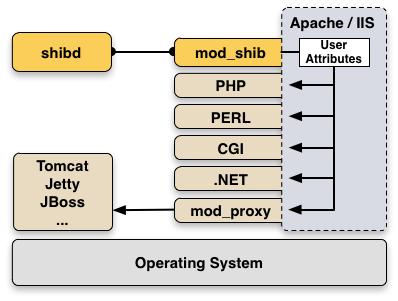 Shibboleth SP Shibboleth Service Provider è composto da mod_shib (Apache /IIS) Demone SHIBD Caratteristiche Proteggere l accesso con «Require» Attributi utente accessibili nell