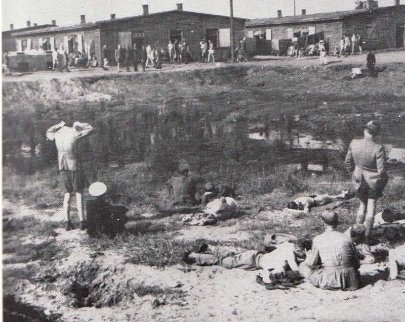 Sandbostel 1944. Il fondo del laghetto con l acqua putrida dell ultima pioggia serve per chi vuole prendere un po di sole.