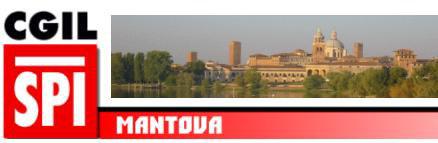 La newsletter dello Spi di Mantova n. 11 02/08/2017 Redazione: Via Altobelli, 5 46100-Mantova. Responsabile Salvatore Altabella del Direttivo provinciale Spi Cgil Mantova. Tel.