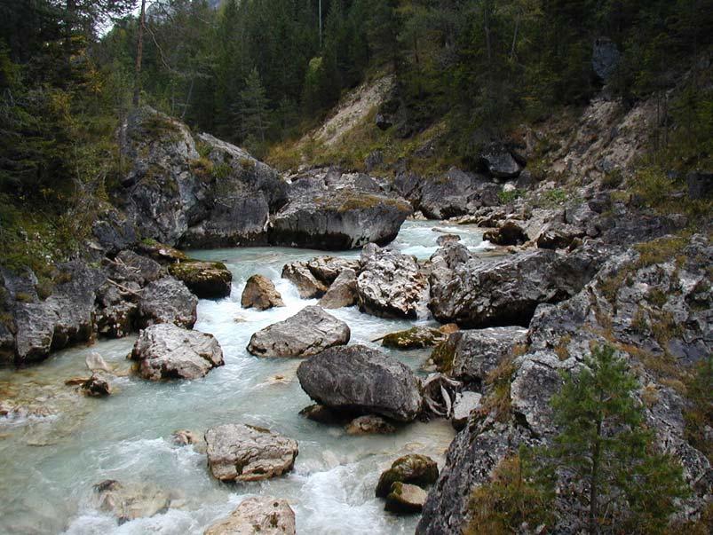 Torrente Viola