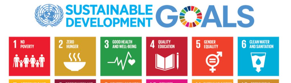 AGENDA 2030 PER LO SVILUPPO SOSTENIBILE Per raggiungere uno sviluppo sostenibile è importante