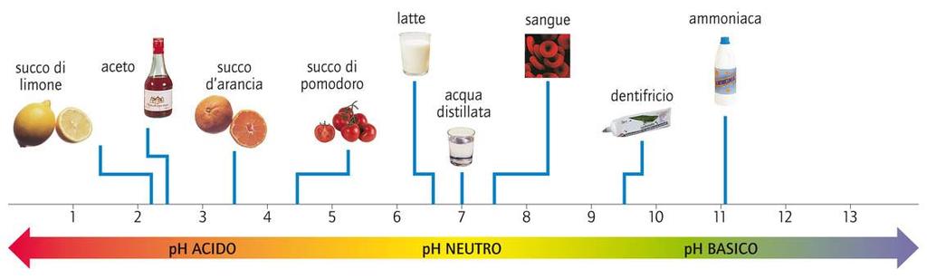 Misurare l acidità e la basicità Per misurare l acidità o la basicità delle soluzioni si usa la scala del ph.