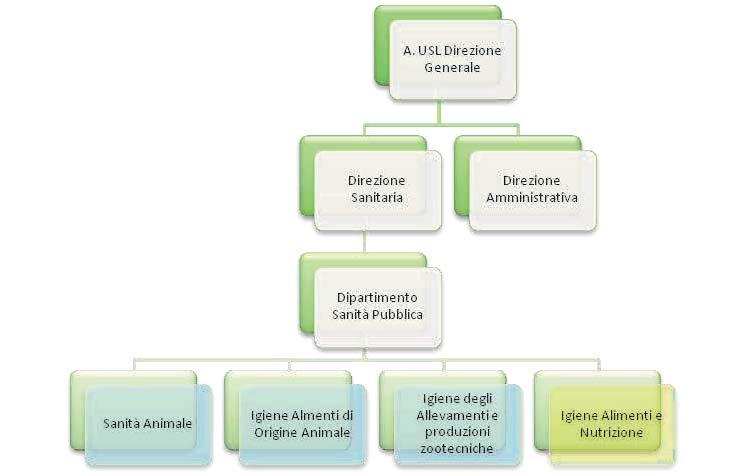 Sono inoltre previsti, dalla stessa DGR, Programmi inter-dipartimentali, d intesa tra le AUSL e le Aziende Ospedaliere di riferimento, ove presenti, finalizzati alla realizzazione di obiettivi