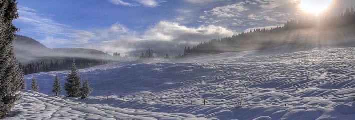 GLIDER GL. Linea di paraffine all idrocarburo non fluorate adatte a tutti i tipi di neve con umidità relativa inferiore al 30%.