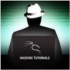 Hacking L Hacking è l atto di accedere illecitamente ad un sistema per ottenere un alto grado di conoscenza ed un numero elevato di informazioni sul sistema stesso, sia sul suo funzionamento, sia dei