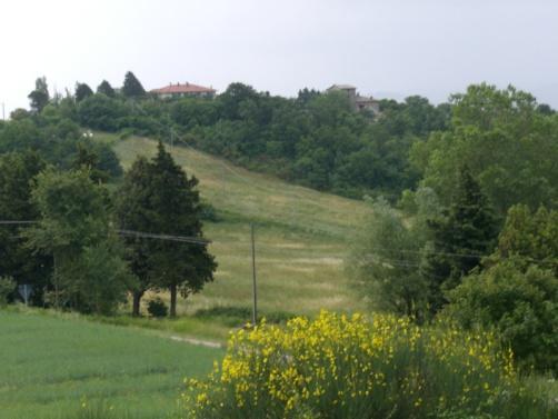 pagamenti diretti alcune simulazioni sui pagamenti diretti: effetti sugli affitti