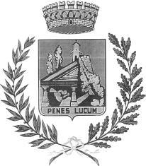 COMUNE DI PELUGO PROVINCIA DI TRENTO Codice fiscale 86003230223 P.Iva 00350700225 Tel. 0465/801132 - Fax 0465/800326 e.mail comune@comune.pelugo.tn.it VERBALE DI DELIBERAZIONE N.