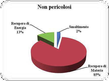 di energia, circa 298 mila tonnellate, ed è costituito prevalentemente da Rifiuti prodotti dal trattamento meccanico dei rifiuti (capitolo 19), 255 mila tonnellate, e da Pneumatici fuori uso, 41 mila