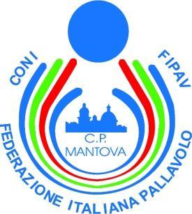 PORTALE CAMPIONATI FIPAV MANUALE PER