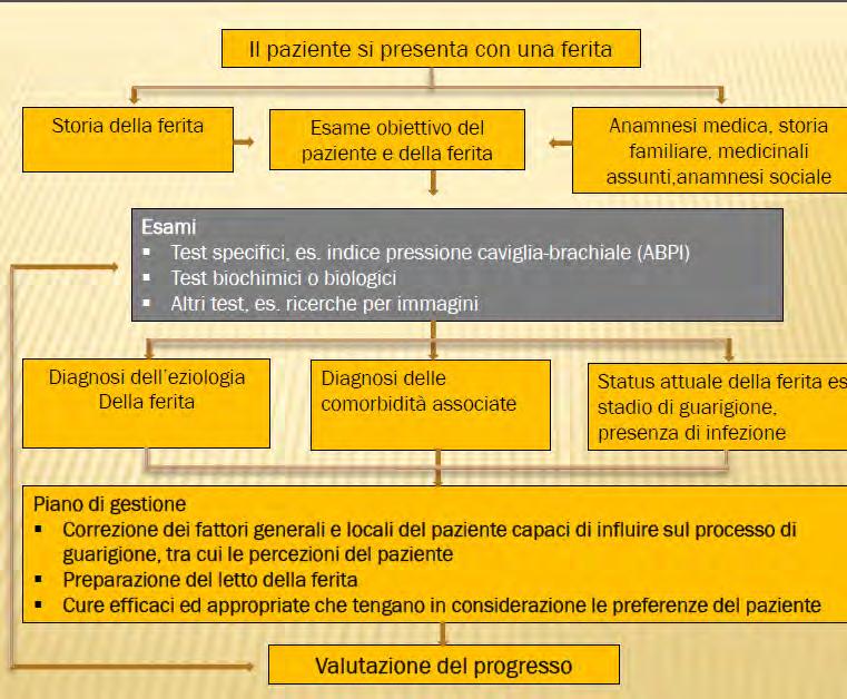 European Wound Management Association (EWMA).