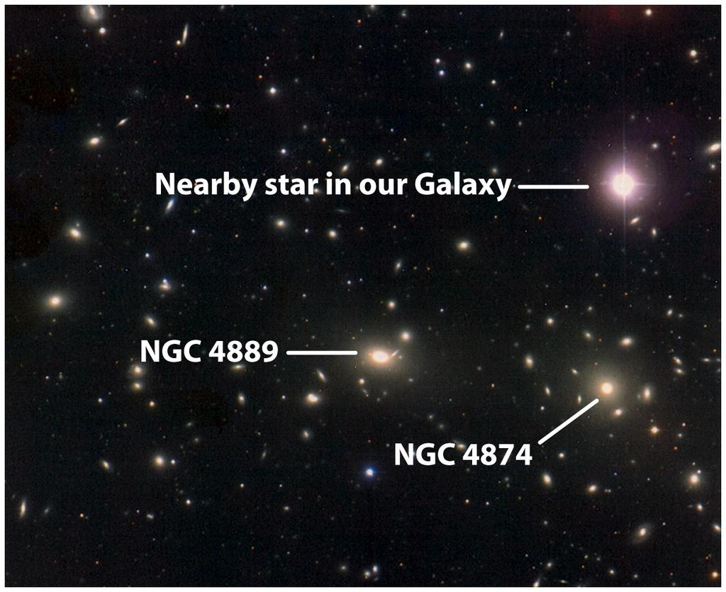 Ammassi di Galassie La maggior parte delle galassie sono membri di ammassi.