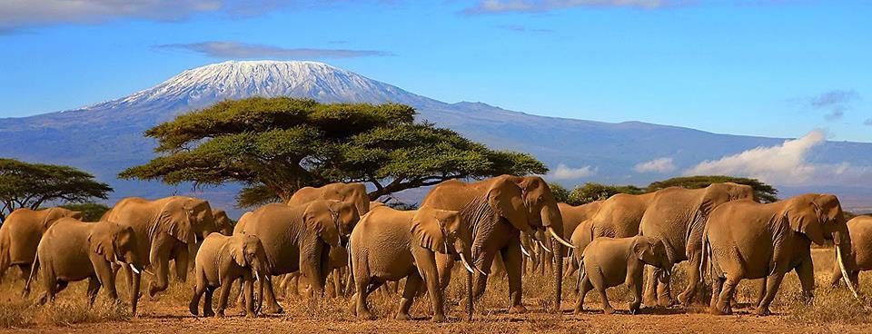 TANZANIA: Safari, Natura, cultura ed Etnie Dal 1 al 10 agosto 2018 La Tanzania è una terra straordinaria che offre spettacolari safari, ritenuti i migliori del Continente Africano.
