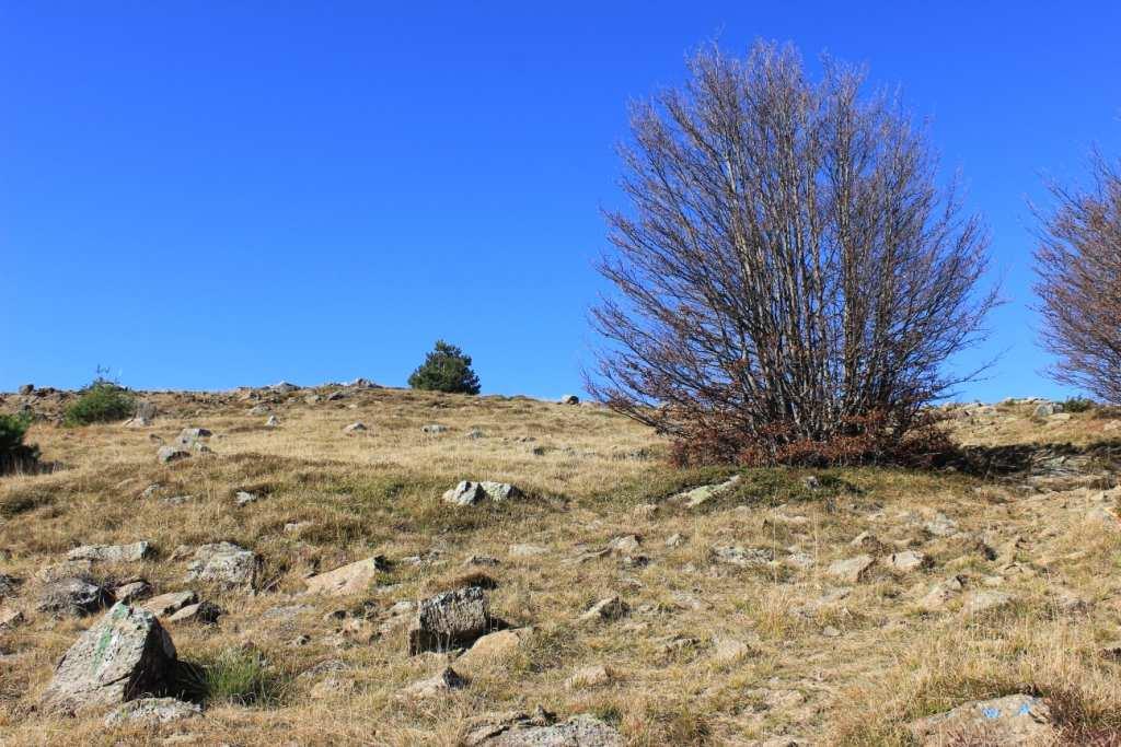 massi e rocce che rendono un po' sconnesso il cammino;