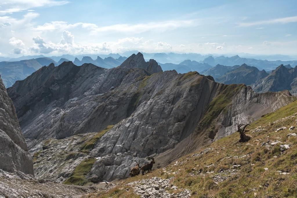 Bollettino del clima Settembre 2018 _ In alcune regioni della Svizzera settembre 2018 è stato tra il secondo e il quinto più caldo dall inizio delle misurazioni