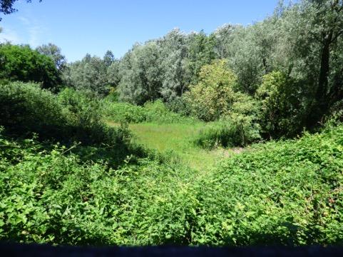 A scuola di natura Cosa è l Oasi Smeraldino L Oasi Smeraldino è costituita da oltre 22 ettari diversificati in habitat