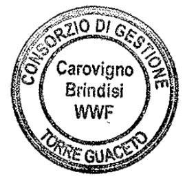 Il Dlgs 163/2006 in materia di appalti pubblici Il Regolamento per l Acquisizione di Beni e Servizi nonché Esecuzione Lavori in Economia approvato con delibera n 1 dal CDA del 31 gennaio 2011 verbale