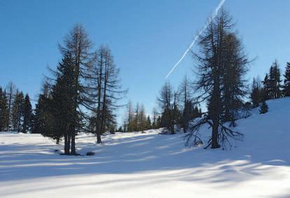 31 Rifugio Monte Ferro, 1563 m DATI TECNICI Dislivello 345 m Punto di partenza Parcheggio, Borgata Granvilla, 1218 m Tempo percorrenza totale ca.