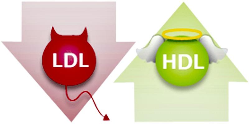 differenze dell assetto lipidico in