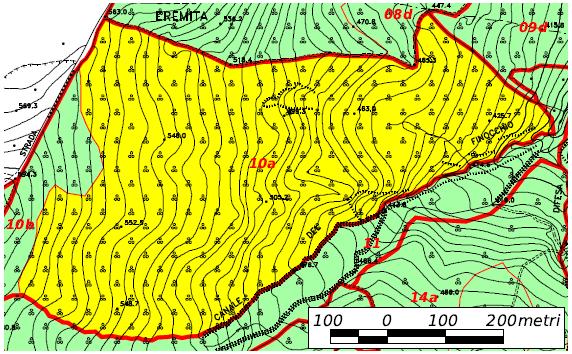 UNITA' DI COMPARTIMENTAZIONE 10a CLASSE COLTURALE: boschi ad evoluzione naturale guidata TIPO: MACCHIA TERMOFILA CON FILLIREA E/O LENTISCO PREVALENTI Località Canale del Finocchio Superfici