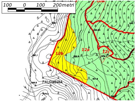 UNITA' DI COMPARTIMENTAZIONE CLASSE COLTURALE: 12b boschi ad evoluzione naturale guidata TIPO: MACCHIA TERMOFILA CON FILLIREA E/O LENTISCO PREVALENTI Località Palombaia Superfici Assestamentale