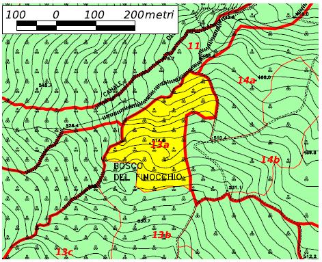 UNITA' DI COMPARTIMENTAZIONE 13a CLASSE COLTURALE: boschi ad evoluzione naturale guidata TIPO: MACCHIA TERMOFILA CON FILLIREA E/O LENTISCO PREVALENTI Località Bosco del Finocchio Superfici