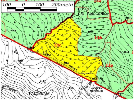 UNITA' DI COMPARTIMENTAZIONE 13c CLASSE COLTURALE: boschi sottoposti a gestione attiva TIPO: QUERCETI MISTI TERMOFILI CON ROVERELLA PREVALENTE Località Canale La Difesa Superfici Assestamentale