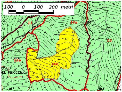 UNITA' DI COMPARTIMENTAZIONE CLASSE COLTURALE: 14b boschi sottoposti a gestione attiva TIPO: RIMBOSCHIMENTI MISTI DI CONIFERE MEDITERRANEE (PINI MEDITERRANEI, CUPRESSACEE, CEDRI) Località Bosco del