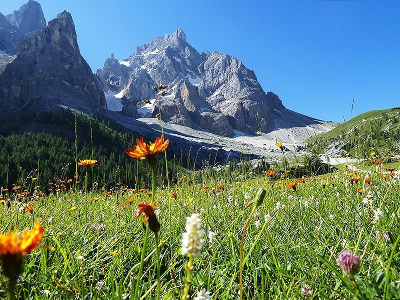 7 AGOSTO Escursione per famiglie in Val Venegia Paneveggio Punto di partenza è il parcheggio all inizio della Val Venegia, nel Parco Naturale di Paneveggio.