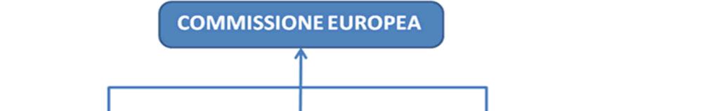 MANUALE DELLE PROCEDURE E DEI CONTROLLI 2.3 Referenti regionali delle autorità nazionali per il PO FEAMP 2014/2020 L AM, all art. 3 co. 4 lett. f), attribuisce ad ogni O.I. il compito di individuare, nella propria struttura, un Referente dell'autorità di Gestione (RAdG) e un Referente dell'autorità di Certificazione (RAdC).