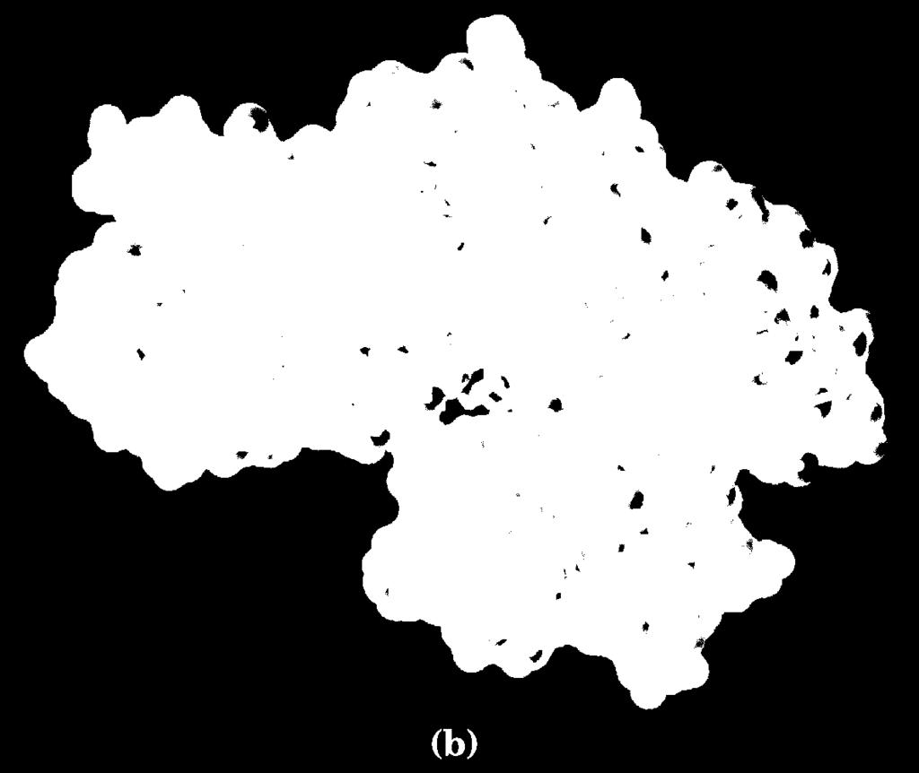 ATP D-glucosio