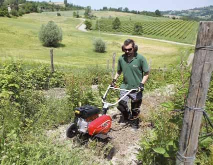 RIBALTAMENTO 45 PIANALE DI CARICO espandibile PORTATA 350 Kg 2.