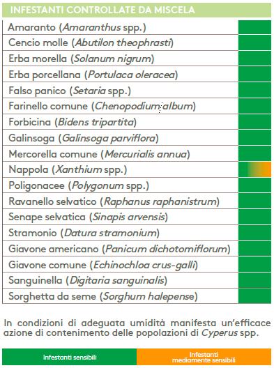 epoca d intervento