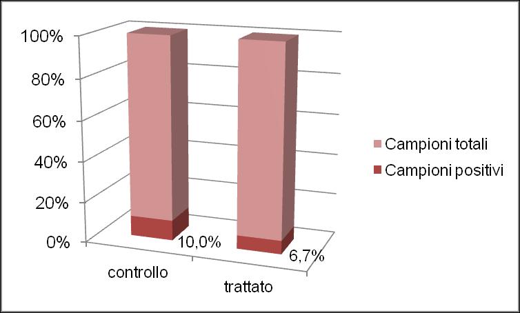 campioni in fogli di alluminio (T al cuore 70 C).