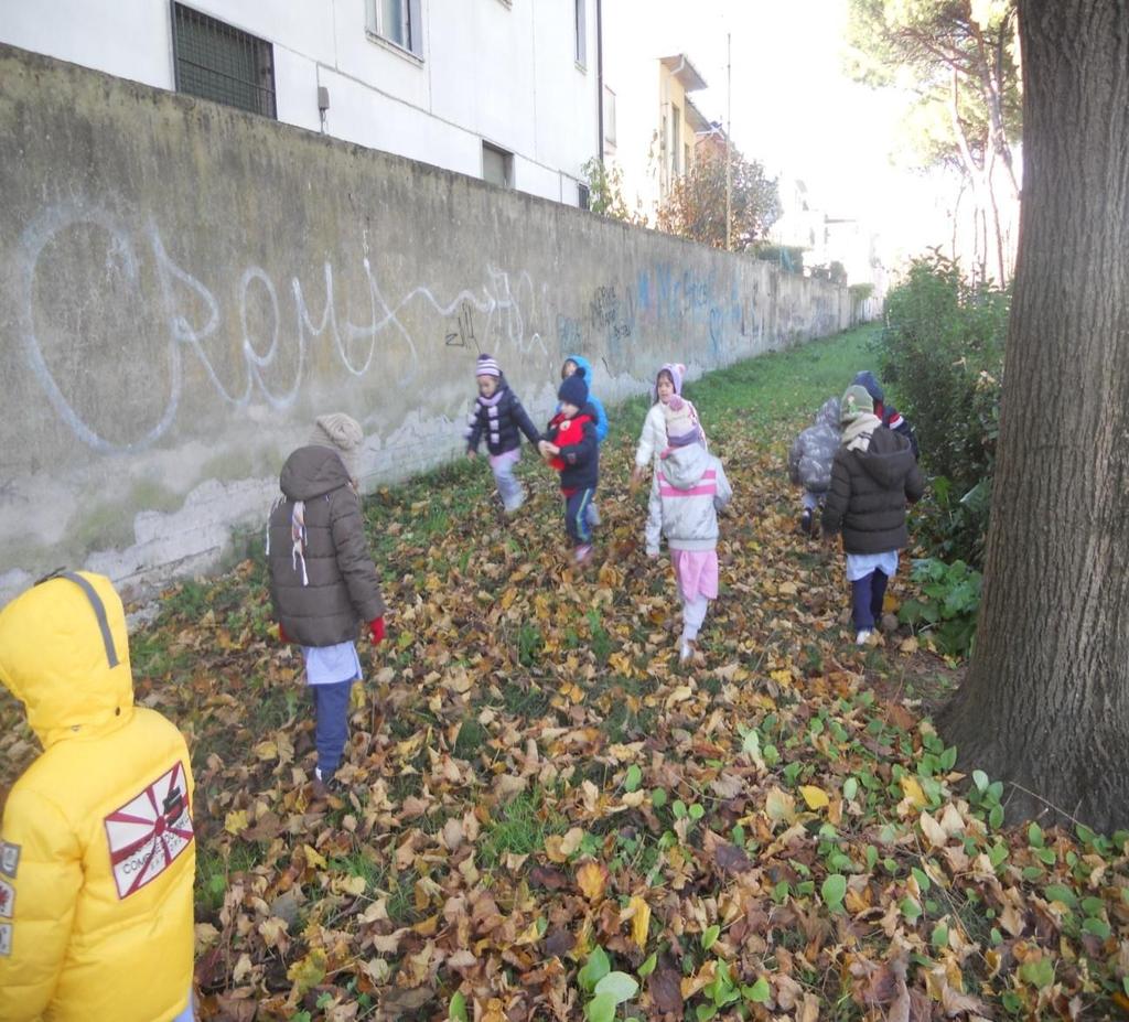 Osserviamo e raccogliamo le foglie I bambini appena arrivati al parco della MONTAGNOLA, liberi di muoversi nell