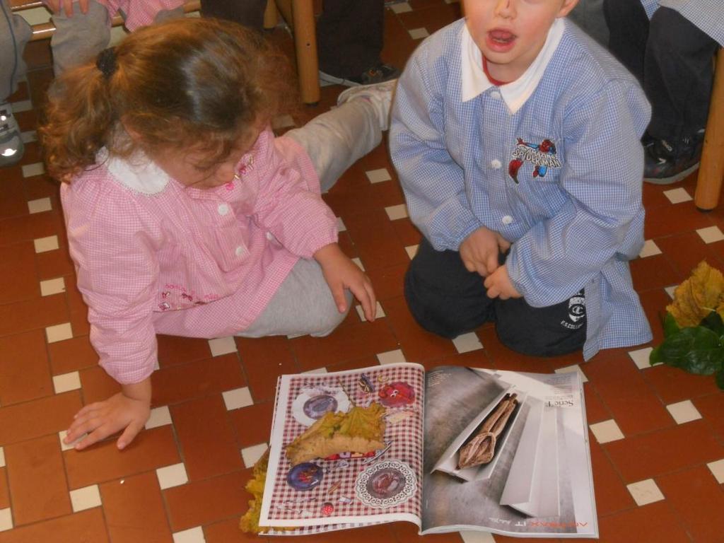 Dopo le uscite, continuiamo a scuola disponiamo le foglie fra le pagine