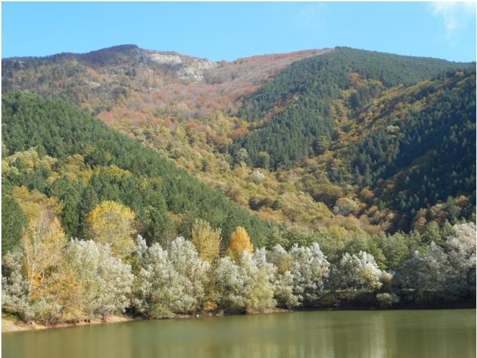 La nostra Foresta Modello ha avuto l'onore (e l'onere) di essere convocata ai suddetti tavoli al fine di dare il proprio contributo per la propria esperienza