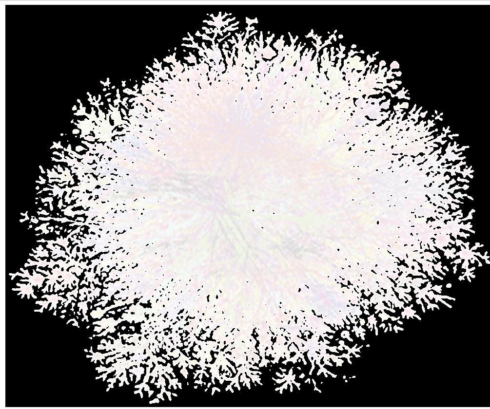 Valutazione analitica della fragilità VALUTAZIONE ANALITICA SDGC DELLA FRAGILITÀ - SDGC S - problemi clinici (gravità, comorbilità, Politrattamento) S0 - assenza di patologie S1 - patologia unica S2