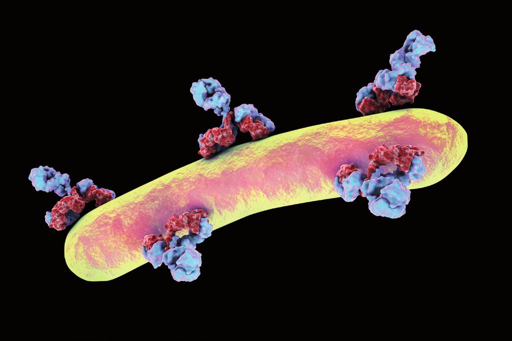 Questa nuova branca della medicina prende il nome di immuno-oncologia.